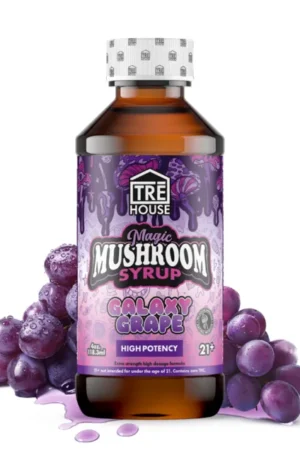 mushroom allergy